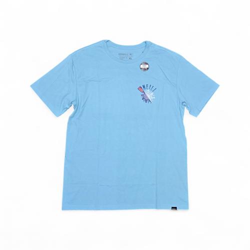 CAMISETA TALLA XL - RF - COD65 - CLASICS - BASIC - CLESTE